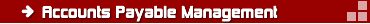 accounts payable management services