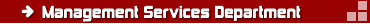 management services department company consulting