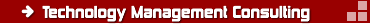technology management consulting